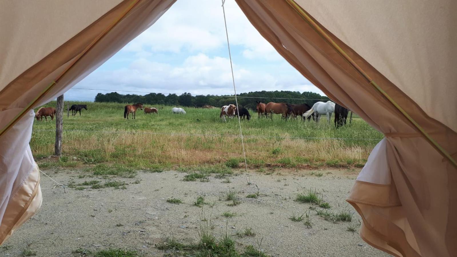 ホテル Centre Equestre D'Azay Le Rideau 部屋 写真